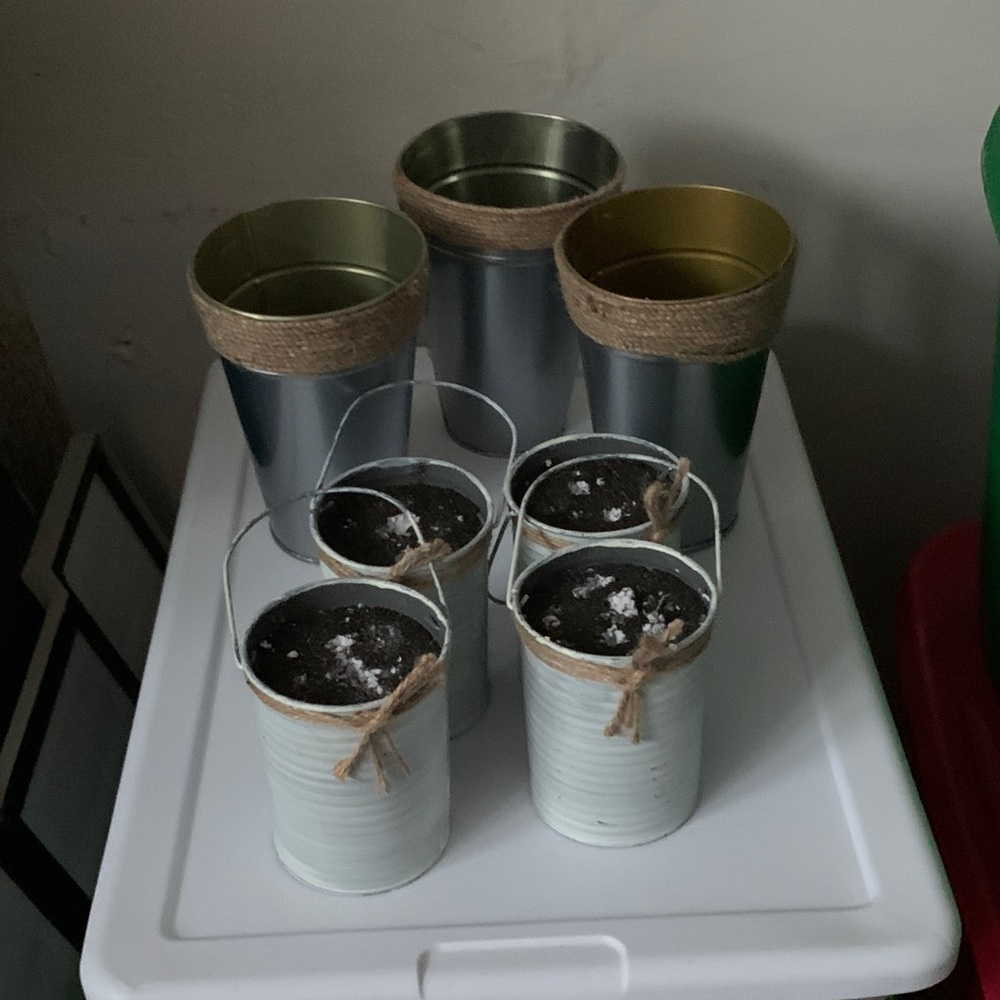 Set of Silver and Gold Metal Planters